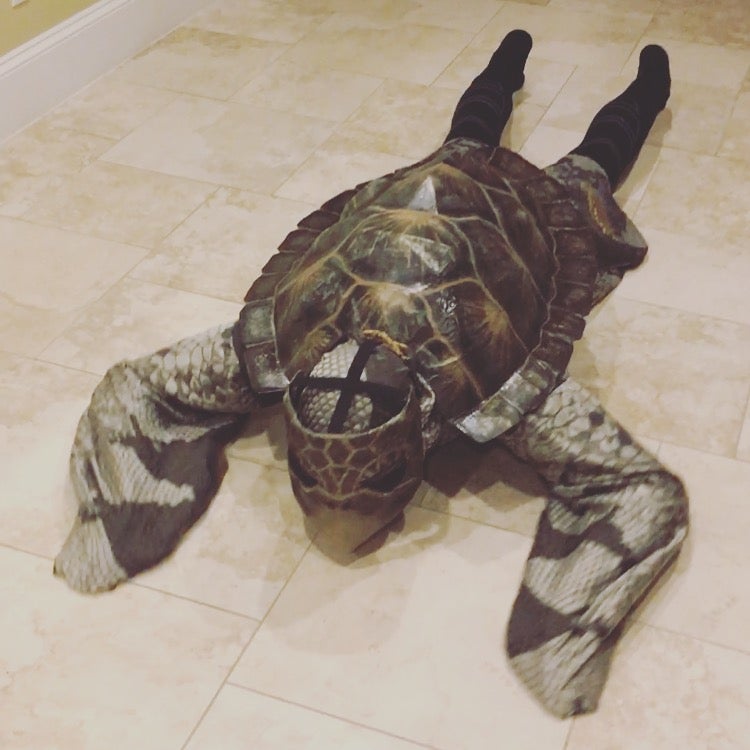 Apple tortoise costume tortoise halloween costume tortoise hat